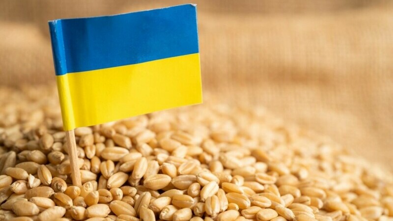 Mii de tone de cereale au plecat din Ucraina cu două nave, după deblocarea exporturilor de către Rusia