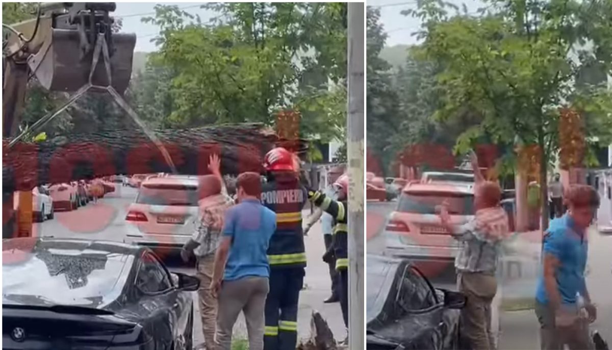 Pompierii au scăpat un copac peste un BMW de 100 de mii de euro, la Pitești. Reacția proprietarului este fabuloasă – VIDEO