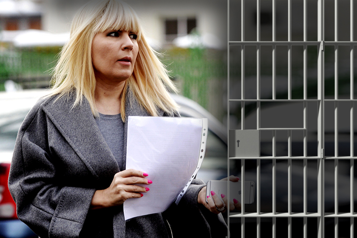 Elena Udrea află astăzi dacă va ieși din inchisoare