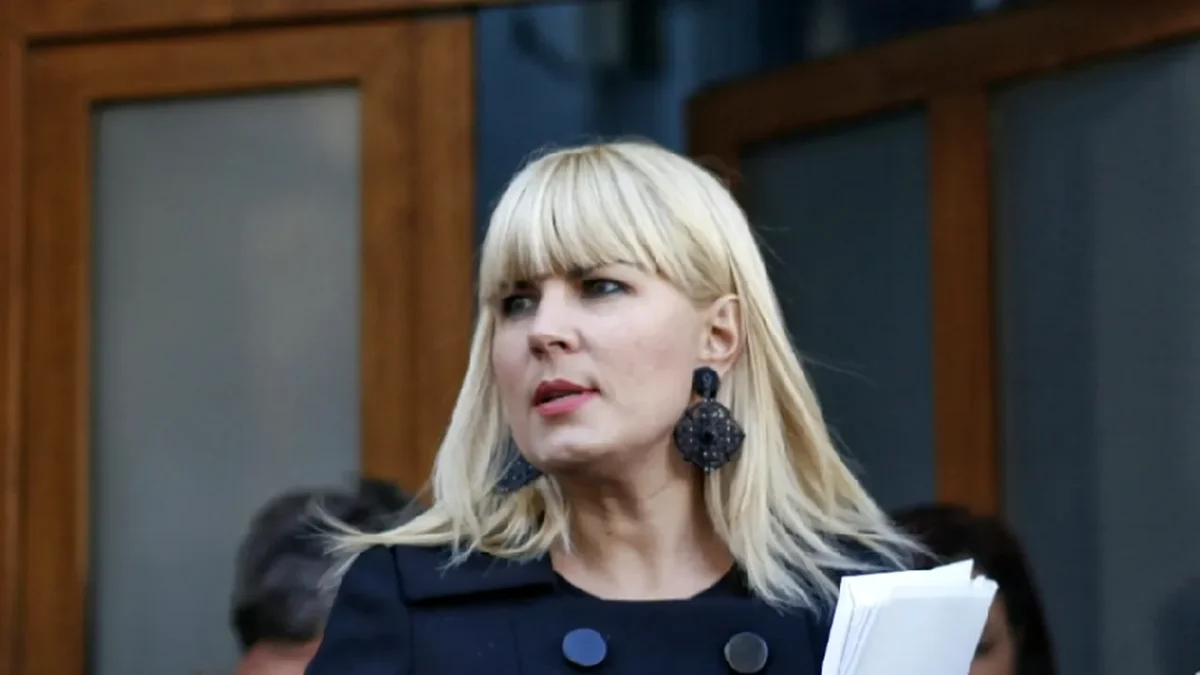 Elena Udrea, modalitate de a scăpa de închisoare: „Vreau să cer şi eu să fiu considerată nebună şi fără discernământ”