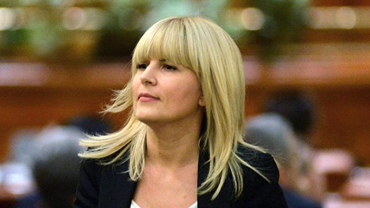 Elena Udrea ar putea scăpa de închisoare? Ce spune avocata fostului Ministru al Turismului