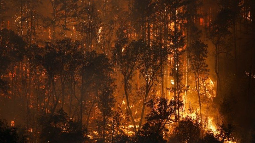 Incendiu puternic în California, SUA. Misiune aproape imposibilă pentru pompieri
