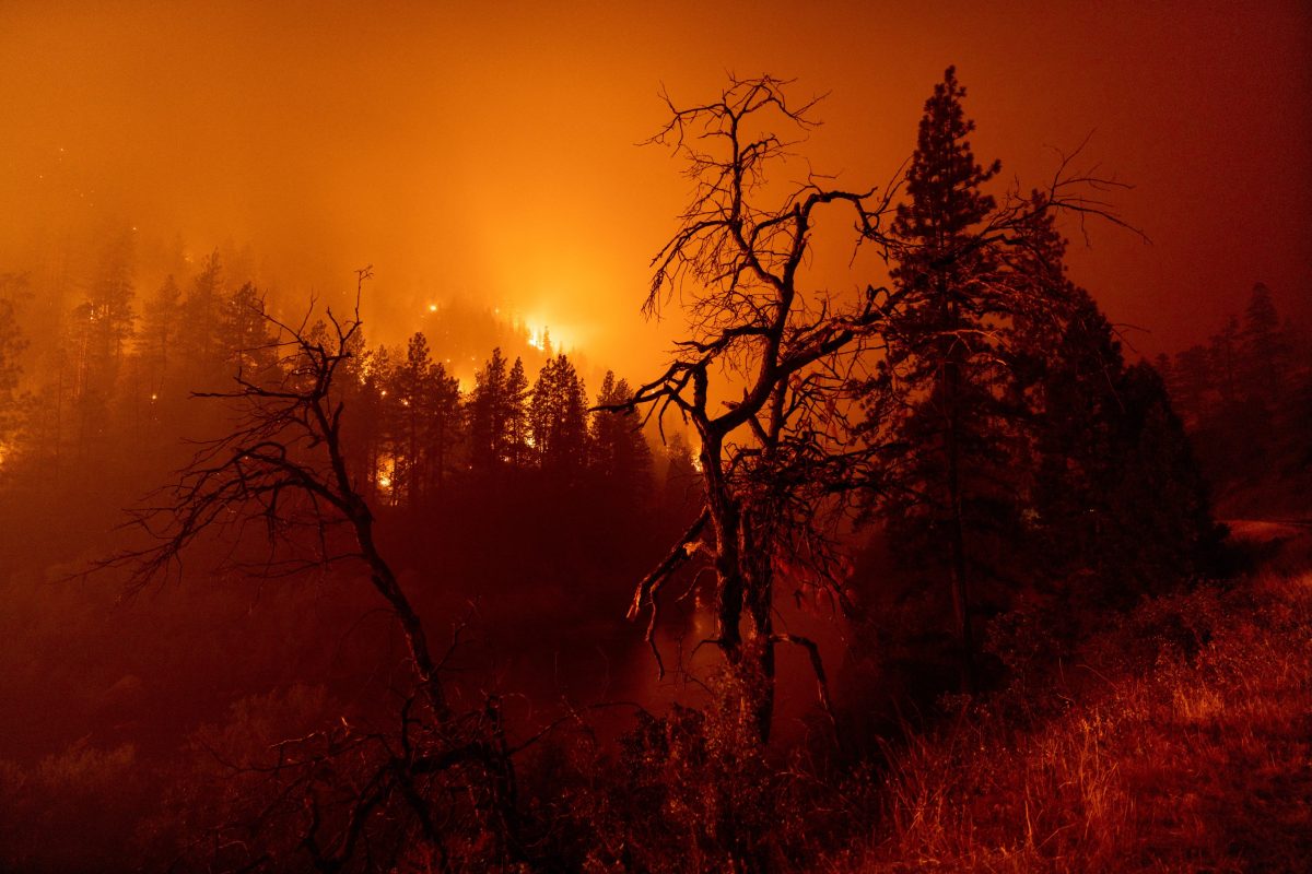 Incendiul din California face victime umane. Două persoane au ars de vii în propria maşină – GALERIE FOTO