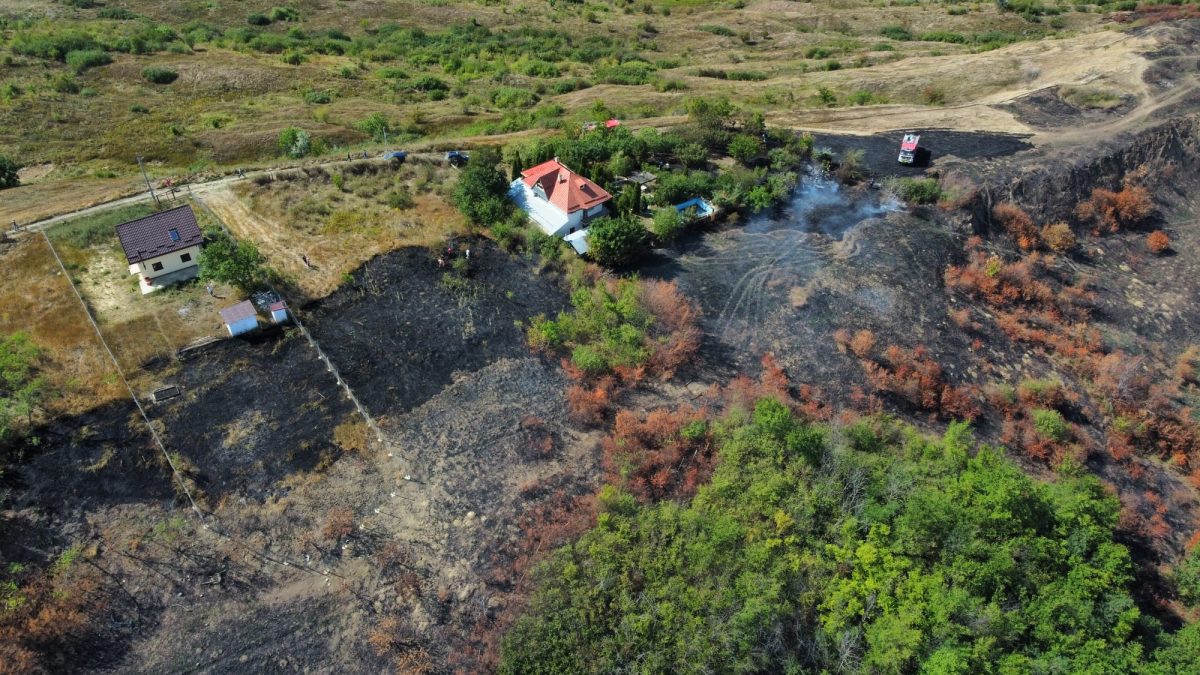 Un alt incendiu de vegetaţie în judeţul Iaşi. Pompierii intervin – EXCLUSIV