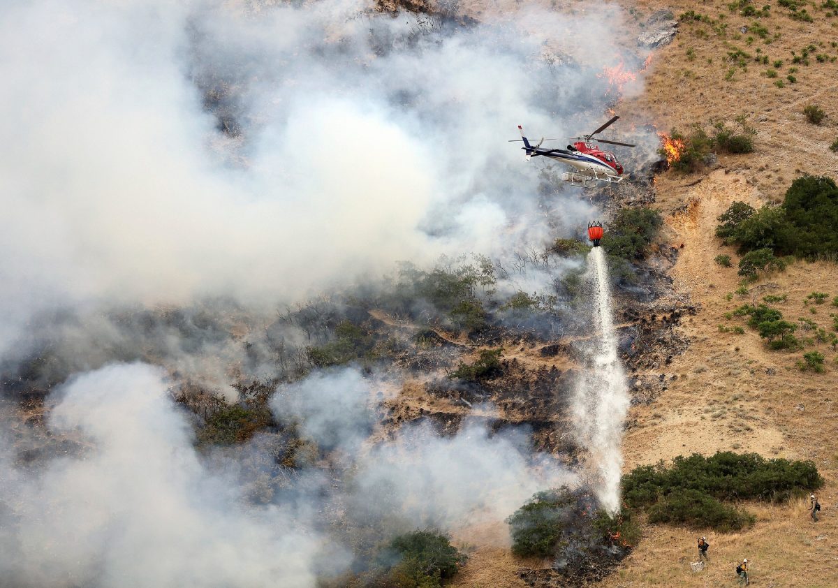 Incendiu de vegetaţie pornit din vina unui bărbat. Aflat sub influenţa drogurilor, a declarat că doar încerca să omoare un păianjen