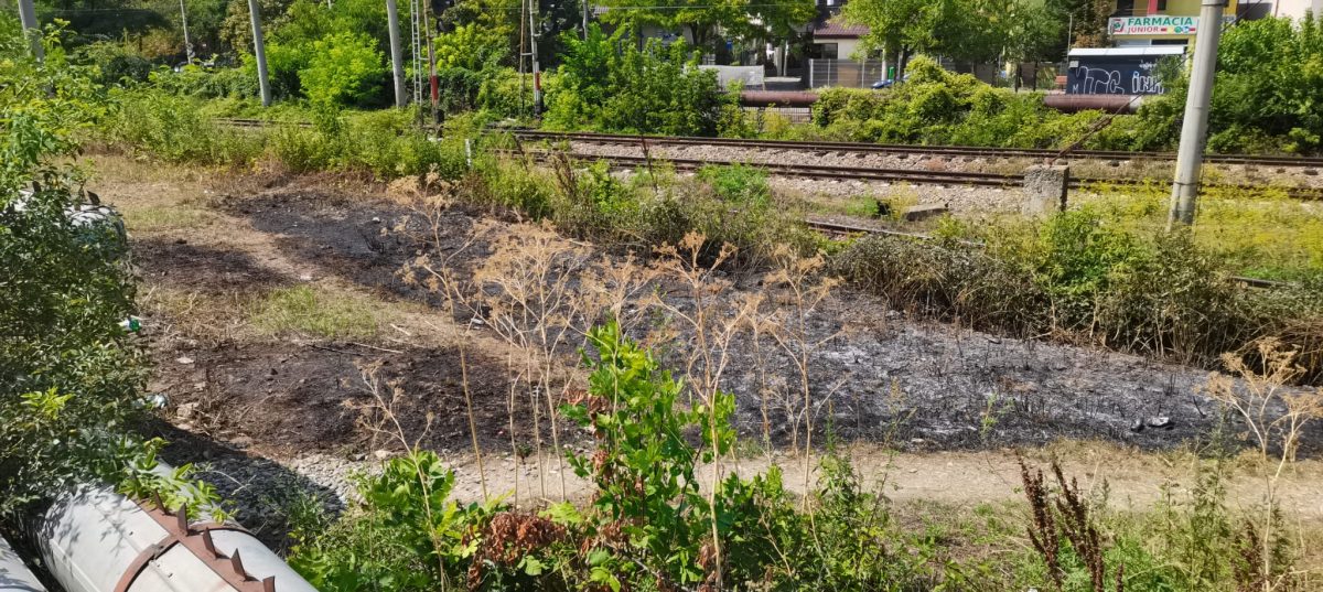 Incendiu de vegetație uscată în zona căii ferate din vecinătatea Mănăstirii Frumoasa. Pompierii au intervenit la fața locului – FOTO