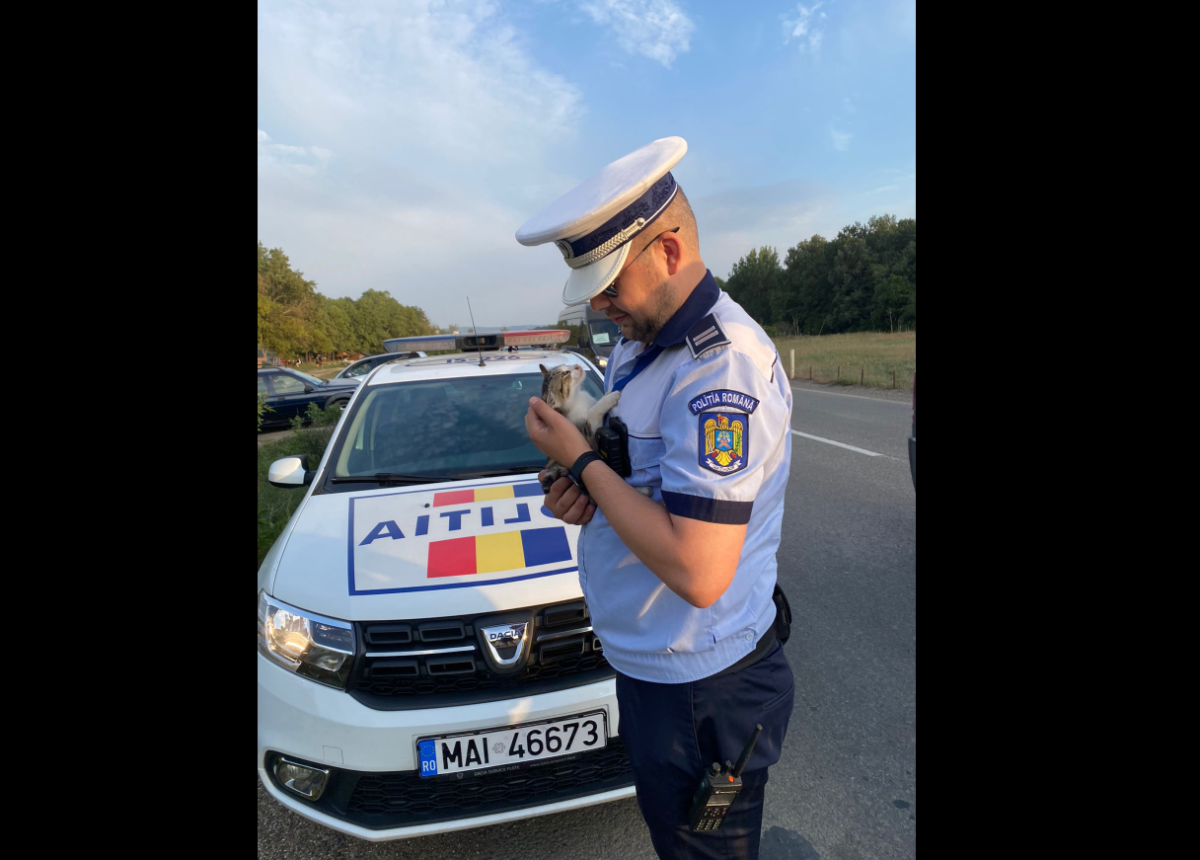 Misiune atipică a polițiștilor rutieri