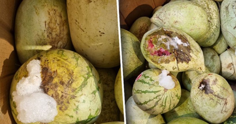 Nereguli într-un mare supermarket din Vaslui. Pepeni putreziţi, din care ieşea o spumă urât mirositoare