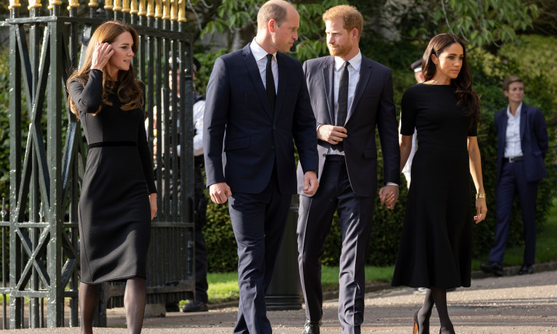 Prințul Harry împlinește astăzi 38 de ani. Ce este obligat să facă în fața Camillei, regina consoartă și cea care i-a luat locul mamei sale, Prințesa Diana