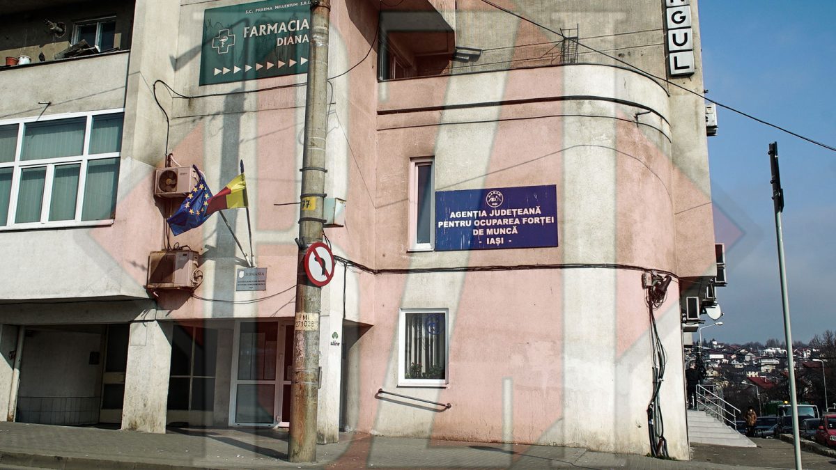 Bursa locurilor de muncă pentru absolvenți, organizată la Iași și Pașcani