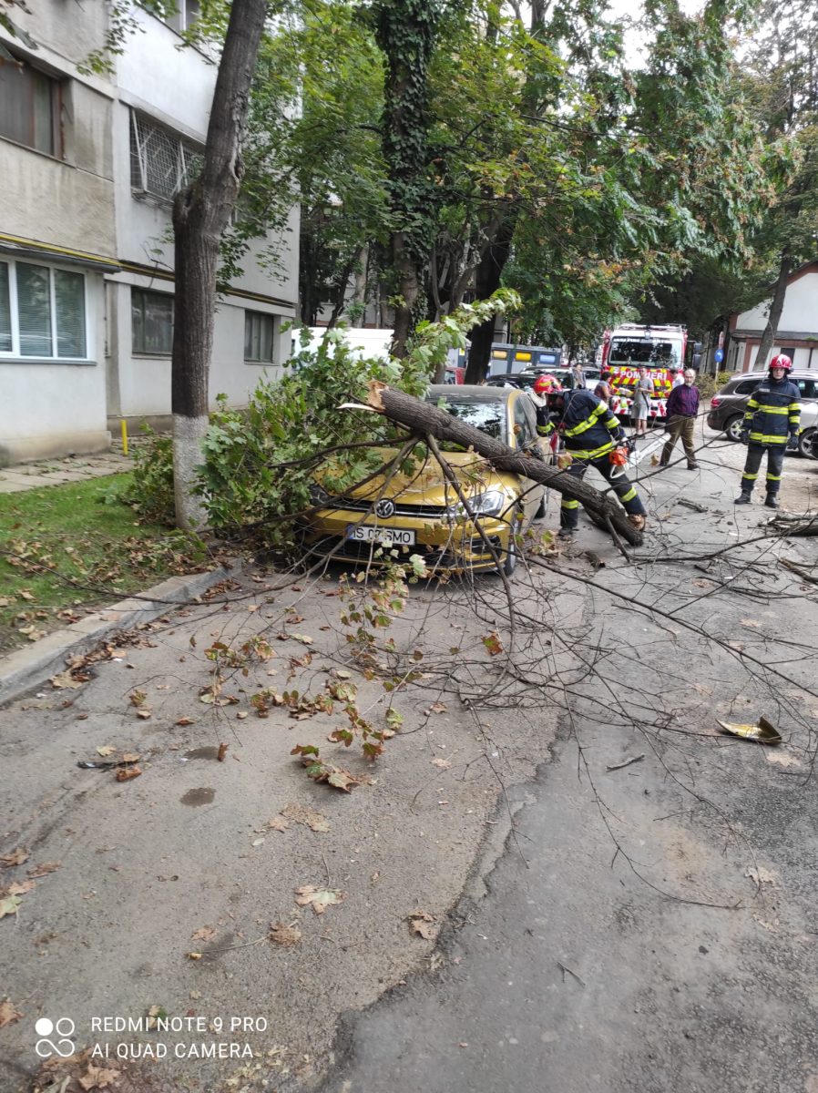 Un copac a căzut peste o mașină, în municipiul Iași. Pompierii intervin de urgență