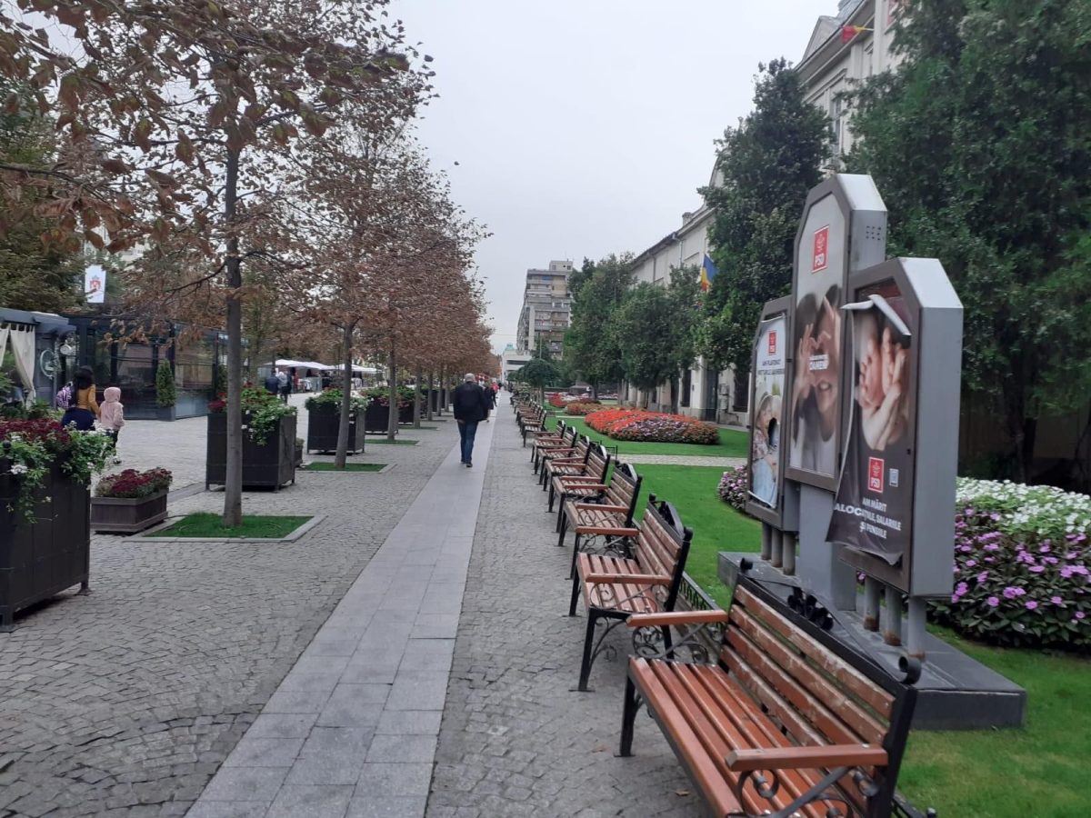 Totul până la PSD! Aşa şi au spus poliţiştii locali azi noapte. Au imobilizat un bărbat care a spart un panou de afişaj al partidului