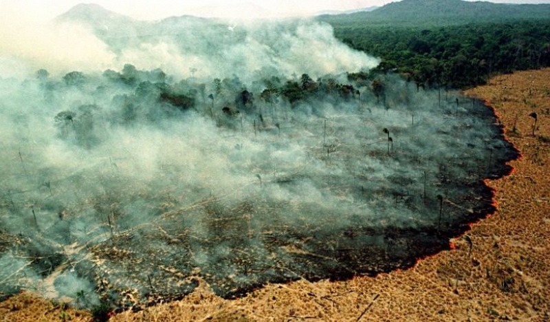Un sfert din Amazonia este distrusă, avertizează specialiștii