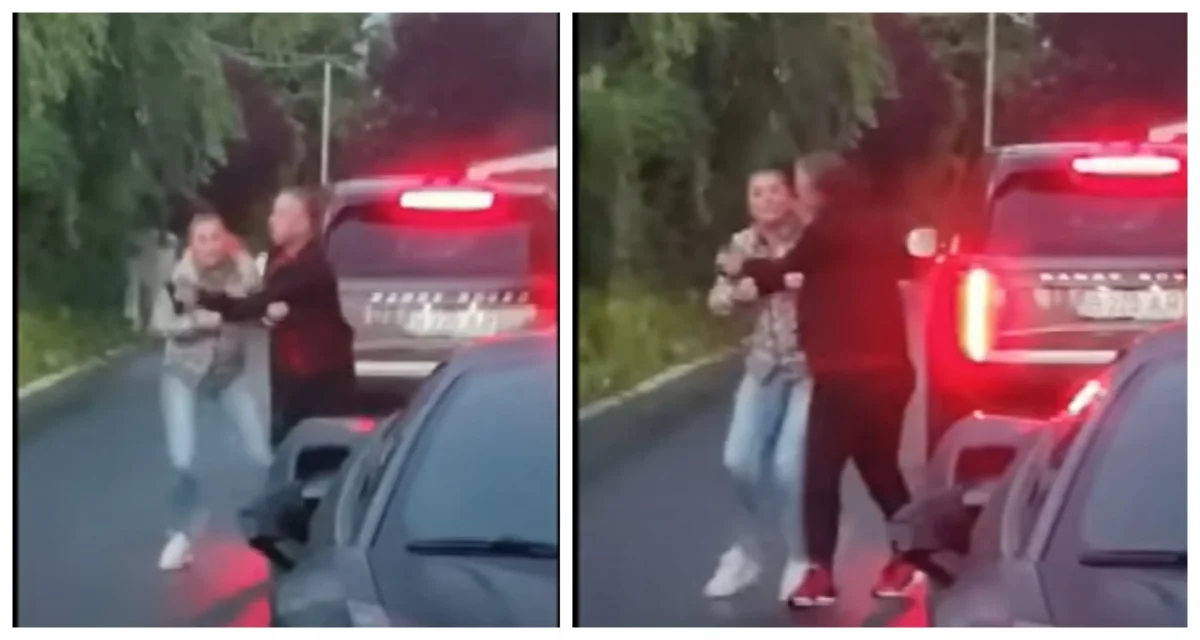 Cine e bărbatul care a filmat bătaia dintre Reghe și Anamaria Prodan și nu a intervenit să-i despartă