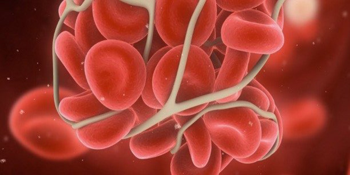 sange la nivelul microscopului