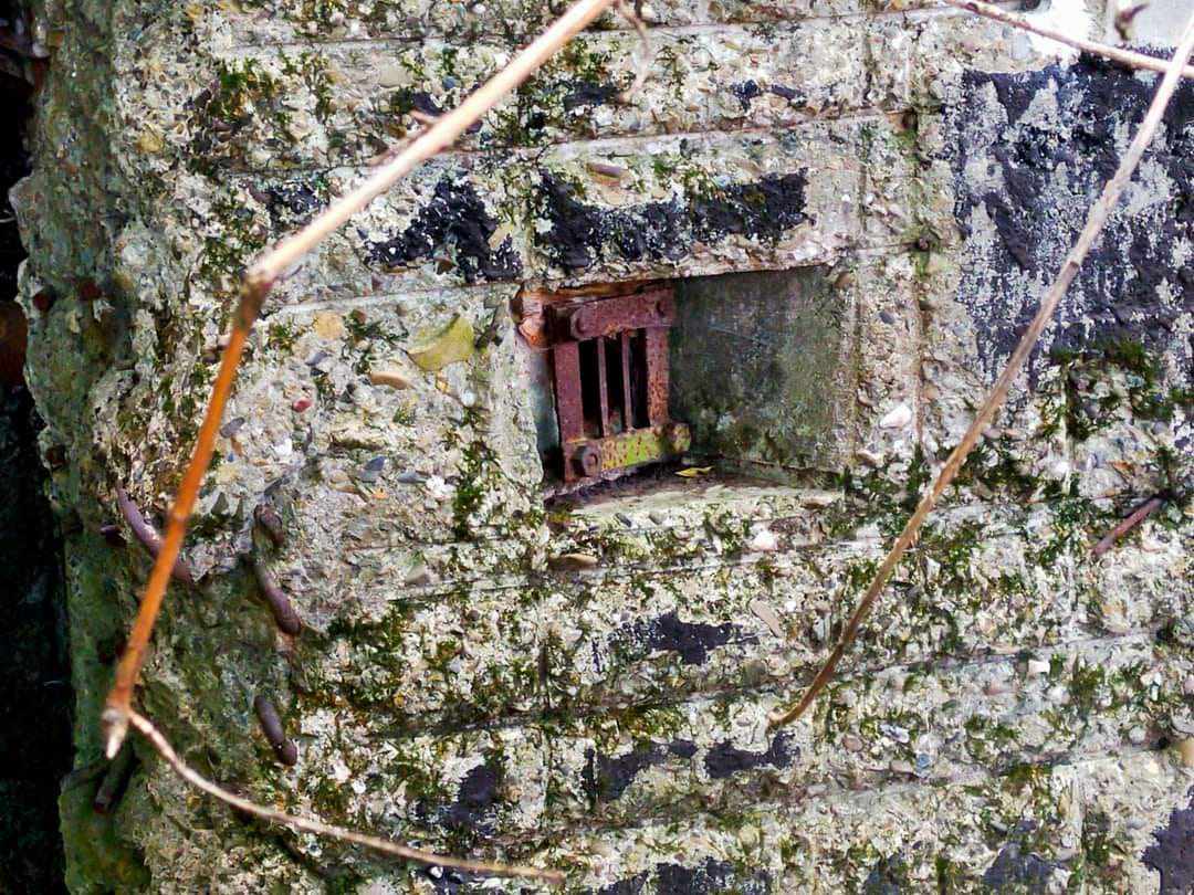 Construcţii speciale, descoperite în pădurea Bucium – FOTO