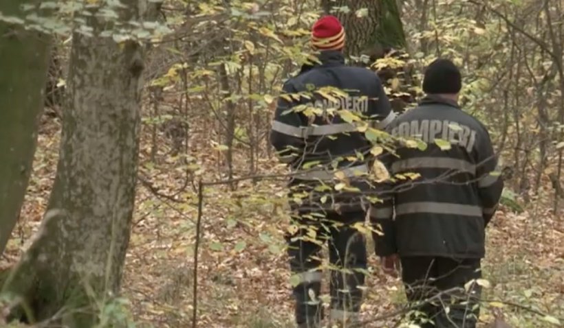 Dispăruţi peste noapte într-o pădure din Sălaj. Şase copii cu vârste cuprinse între 6 şi 12 ani, au pus echipele de căutare în impas