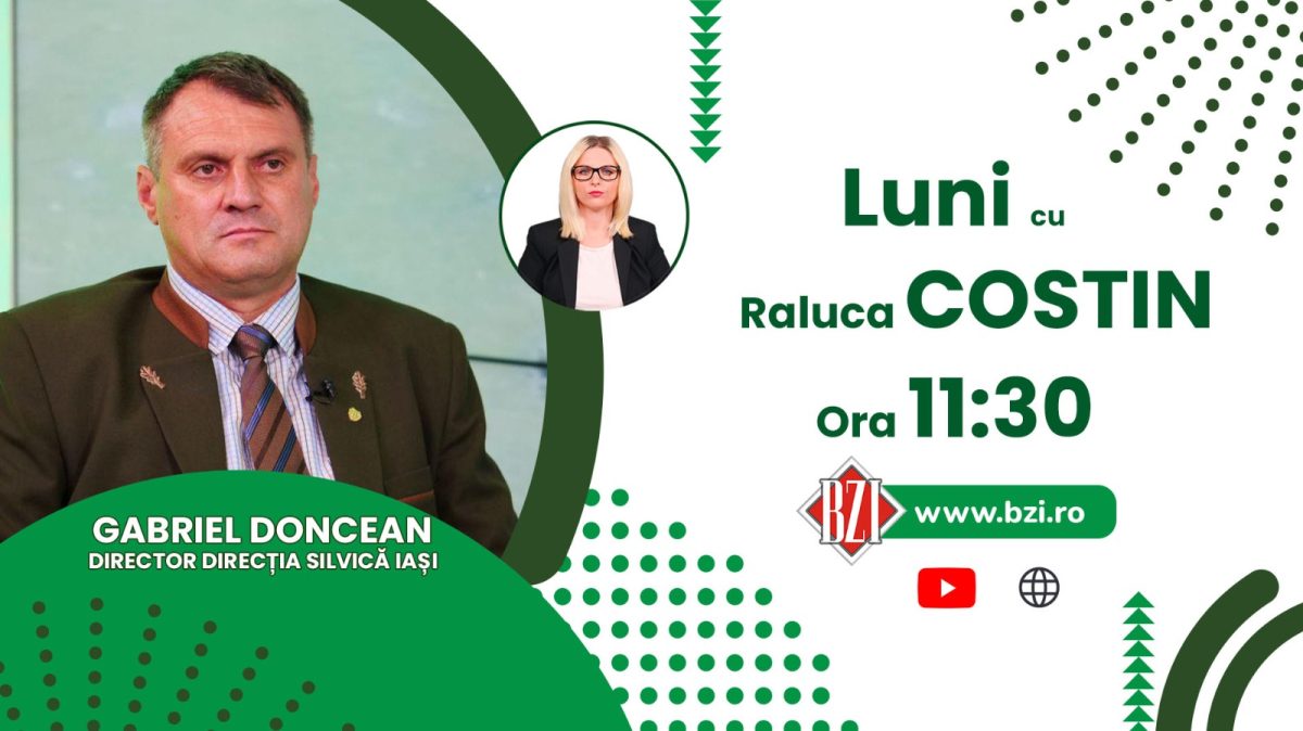Despre criza lemnului, ursi și trufe, cu Gabriel Doncean, directorul Direcției Silvice Iași, numai la BZI LIVE!