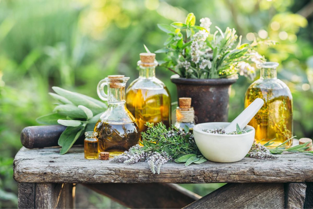 Leacuri bătrânești pentru plămâni afectați de COVID-19. Remedii eficiente din farmacia naturii