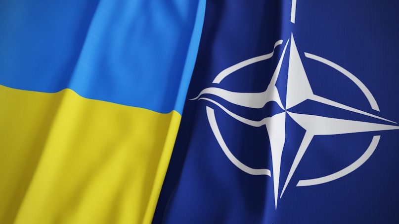Rusia reacționează la cererea Ucrainei de aderare la NATO: „Sună ca o invitație adresată Alianței de a intra într-un conflict militar direct”
