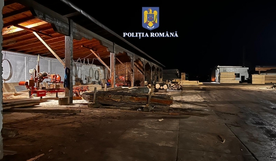 Sute de percheziții în Iași și în țară la mafia lemnelor – FOTO, VIDEO