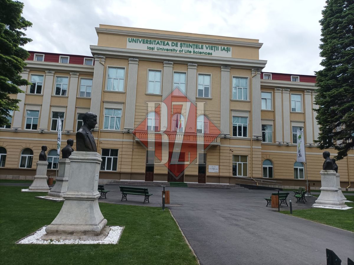 Eveniment de consultare, organizat de Grupul Banca Mondială și USVIași