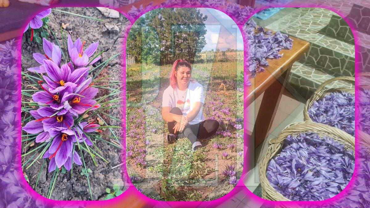 La cât costă un gram din această plantă, grădina unei familii din Iași ar trebui să fie păzită de „gorile” înarmate până în dinți: „Nu e o necesitate, e un lux”