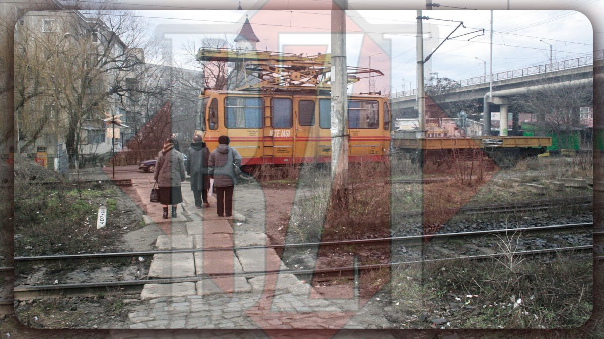 Patru oferte pentru tăierea arborilor periculoși de pe traseele CFR din Iași! Contractul este de 1 milion de euro