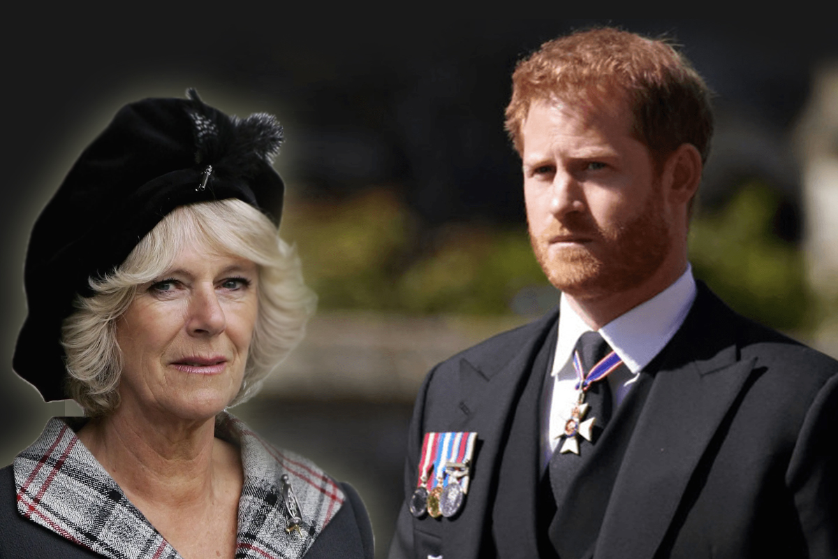 Prințul Harry nu o suportă pe regina consoartă, Camilla. Care este motivul conflictului dintre Ducele de Sussex și soția tatălui său!