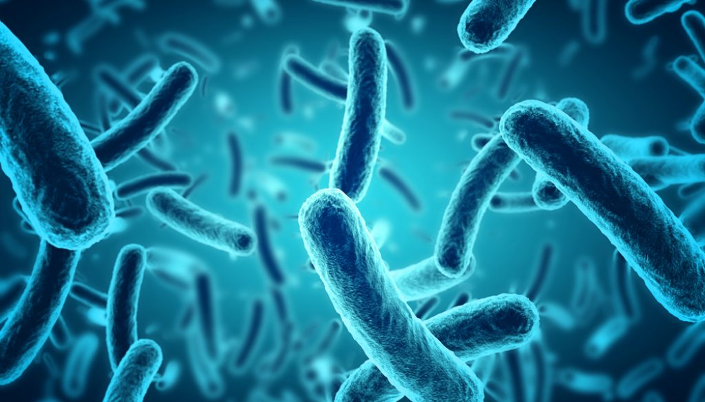 Medic prezintă bacteria rezistentă la toate antibioticele: Dacă nu facem ceva, nu va mai fi nevoie de încă un război mondial