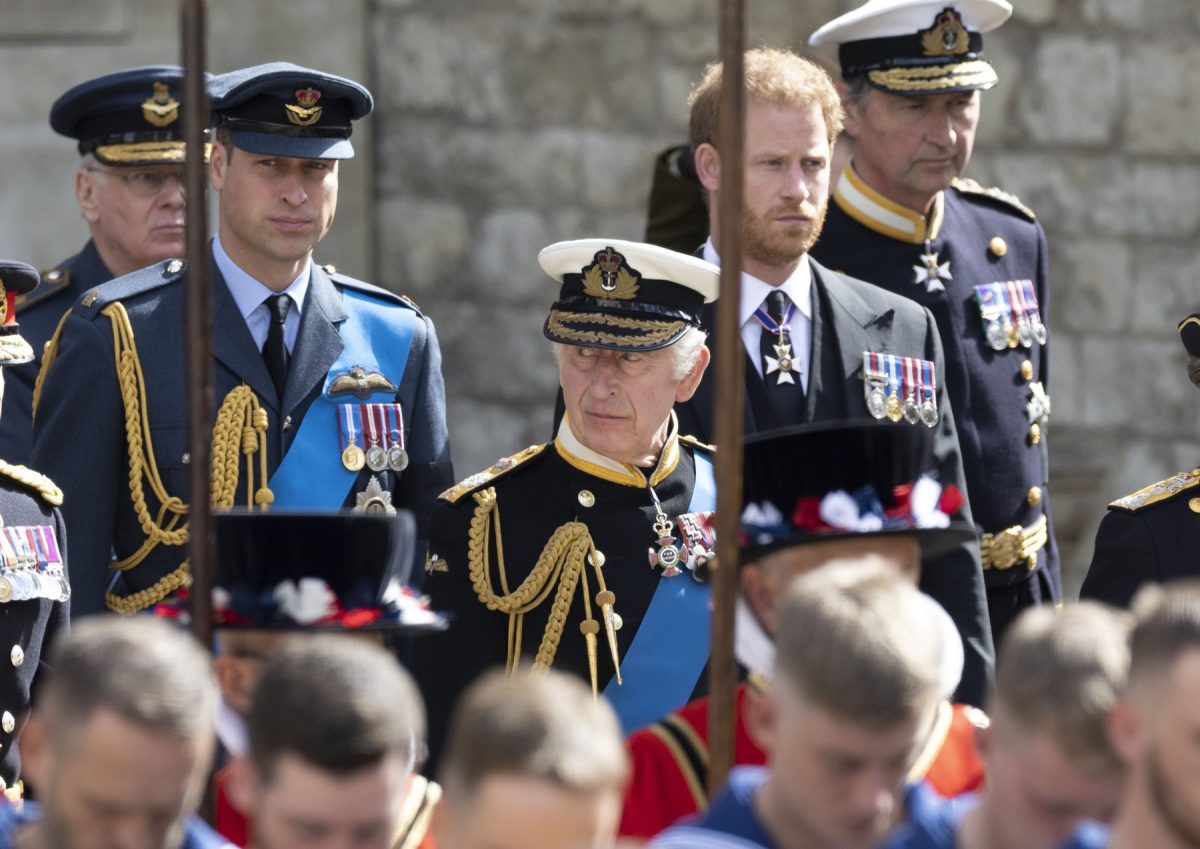 Intrigi de palat: Regele Charles al III-lea vrea să îi împiedice pe prinţii Harry şi Andrew să preia interimatul funcţiilor sale