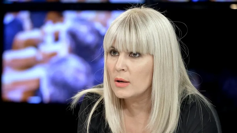 Două mașini și mai multe terenuri ale Elenei Udrea, vândute de ANAF
