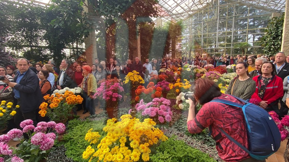 A fost deschis momentul superb, al toamnei, la Iași! Sute de vizitatori sunt în Grădina Botanică – UPDATE FOTO