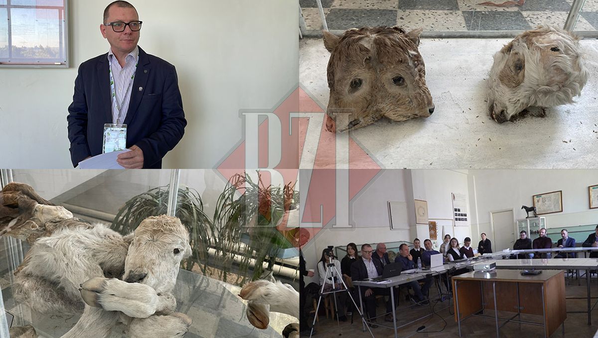 Actualități privind Embrio-Tehnologiile în România, important eveniment științific la Facultatea de Medicină Veterinară a USV Iași – FOTO, VIDEO