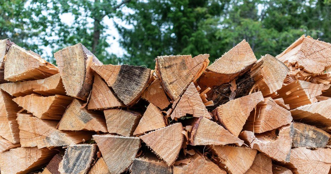 Guvernul va îngheța miercuri prețurile la lemnele de foc. Peste 3 milioane de gospodării, afectate de creșteri artificiale de preț
