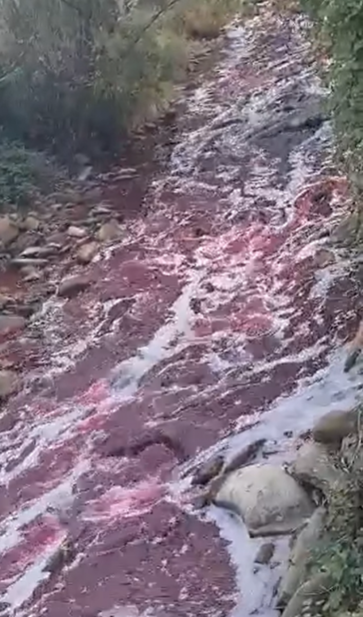 Imagini ciudate în România: apele unui râu important au culoarea roșu-sângeriu – VIDEO