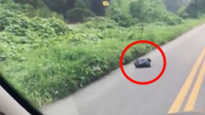 Un ieşean a pus pe jar o comunitate întreagă! A spus în tot satul că a găsit un nou-născut într-o pungă la marginea drumului. Ce s-a întâmplat de fapt? – EXCLUSIV