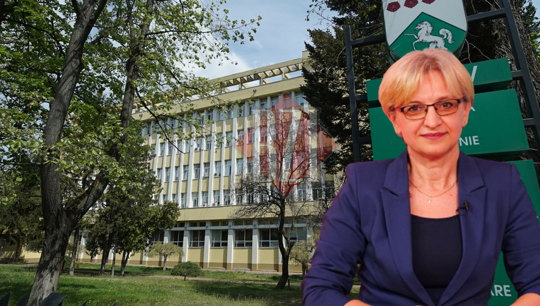Întâlnire specială între studenții de la USVIasi și companii private din oraș! Profesorul Mihaela Ivancia organizează un eveniment-cheie pe relația „de la școală pe piaţa muncii”