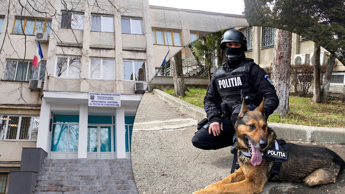 Câinii polițiști de la Frontieră vor primi hrană în valoare de 90.000 de euro