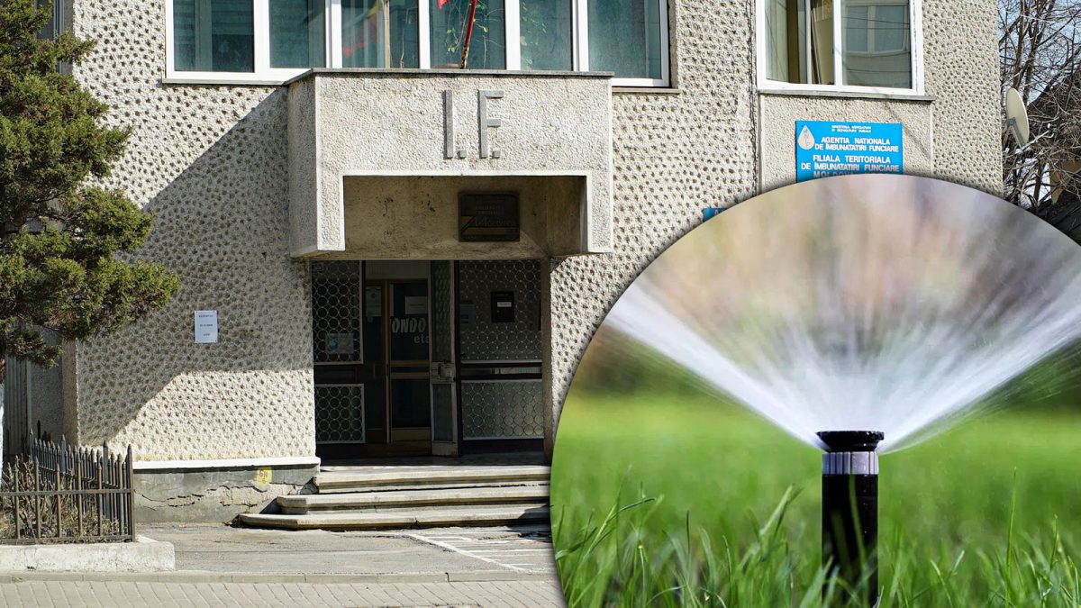 Fermierii din Iași irigă în prag de iarnă sute de hectare cu grâu și orz. „Ne rugăm să nu se întâmple la fel și anul viitor”