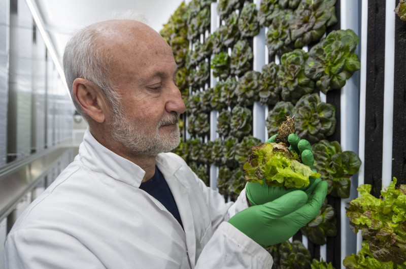 Agricultură de viitor. Cum arată un adăpost antiaerian transformat în fermă subterană
