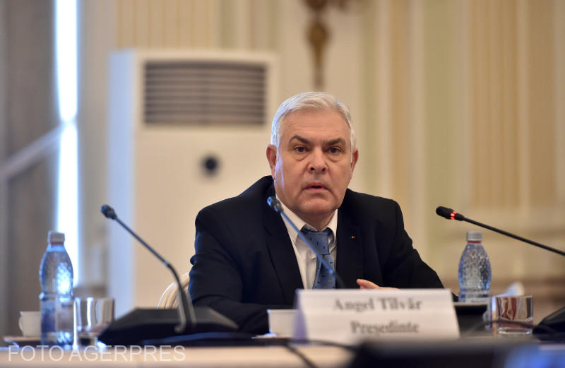O muzeografă de la Muzeul Vrancei i-ar fi scris teza de doctorat a ministrului Apărării, Angel Tîlvăr