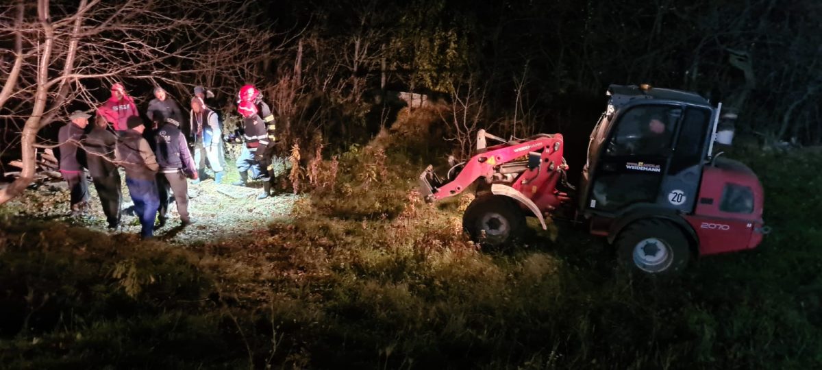 Un cal a fost salvat de pompierii ieșeni dintr-un canal. Animalul a fost scos în viață – FOTO