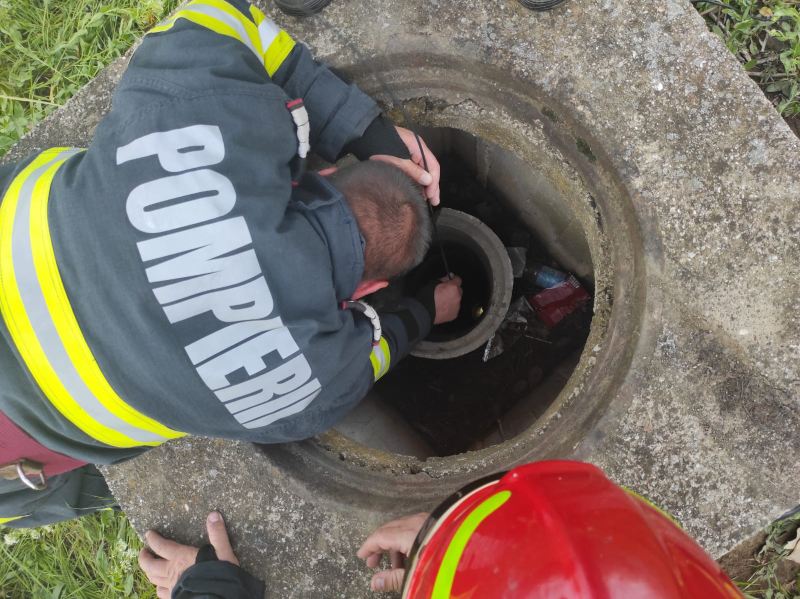 Un câine a căzut într-o fântână. Pompierii ieşeni intervin pentru a-l salva