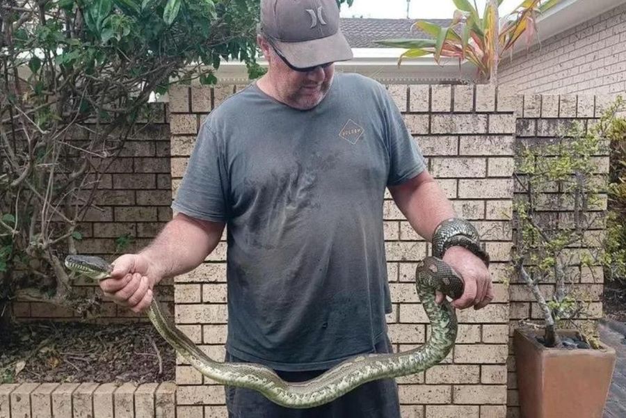 Un copil de 5 ani a fost salvat în ultimul moment după ce a fost atacat și târât într-o piscină de un piton. Tatăl: „Era lung cât o mașină”