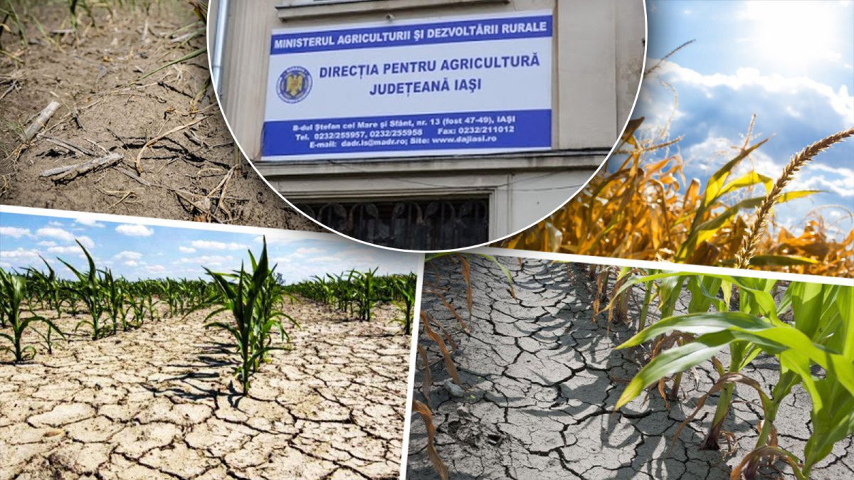 Vin banii pentru despăgubirile de secetă! Fermierii au la dispoziție doar câteva zile pentru a depune documentele la Direcția Agricolă