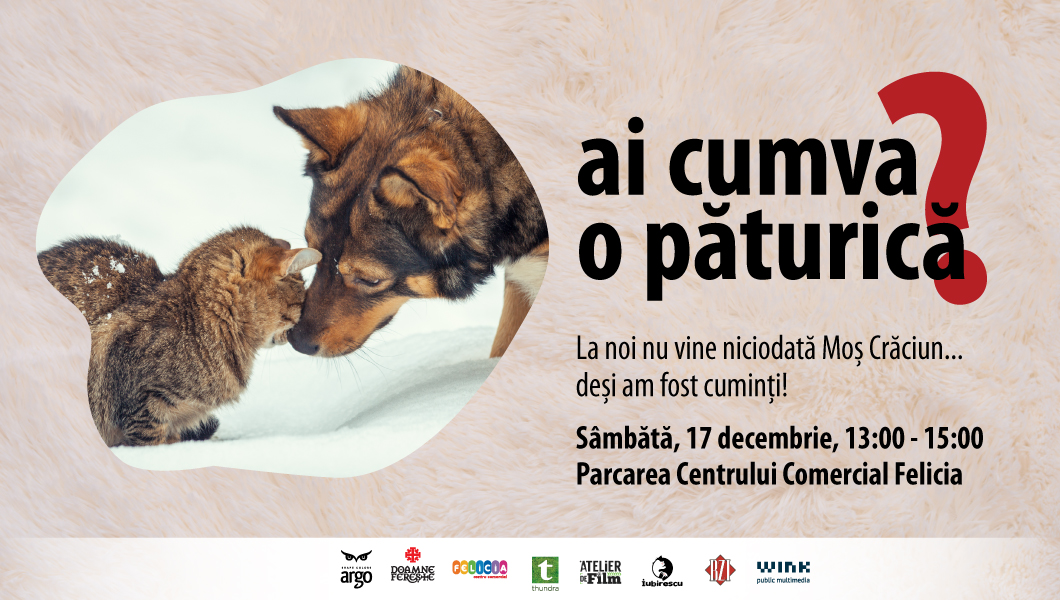 Ai cumva o păturică? – Ediția a 15-a – 17 Decembrie 2022, Parcarea Centrului Comercial Felicia Iași