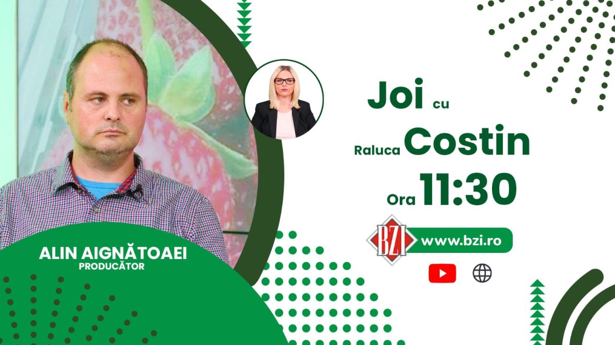 Discuție despre plantațiile cu fructe de pădure ecologice, cu Alin Aignătoaei, producător, numai la BZI LIVE!