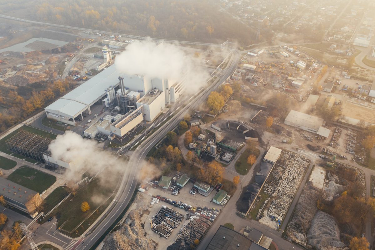 Alegeri ale companiilor care le definesc amprenta de carbon – ce fac companiile pentru a reduce gazele cu efect de seră?