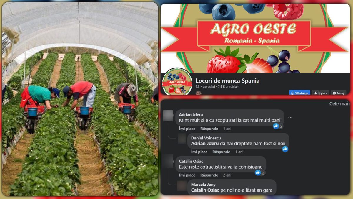 Zeci de oameni ar fi ajuns sclavi în străinătate. „Ne-am trezit în pustietate” – FOTO